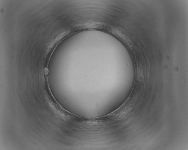 X0000073990394200609111538