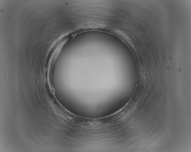 X0000073990395200609111538