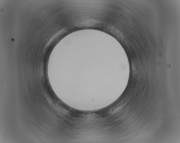 X0000073990396200609111538