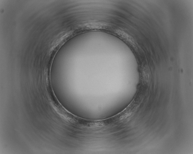 X0000073990398200609111538