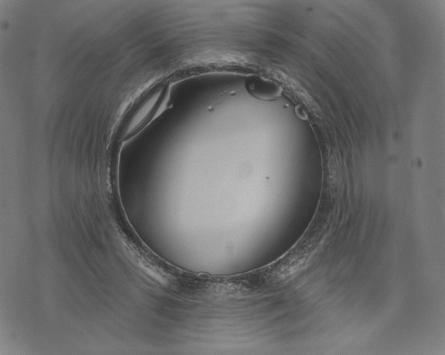 X0000073990399200609111538