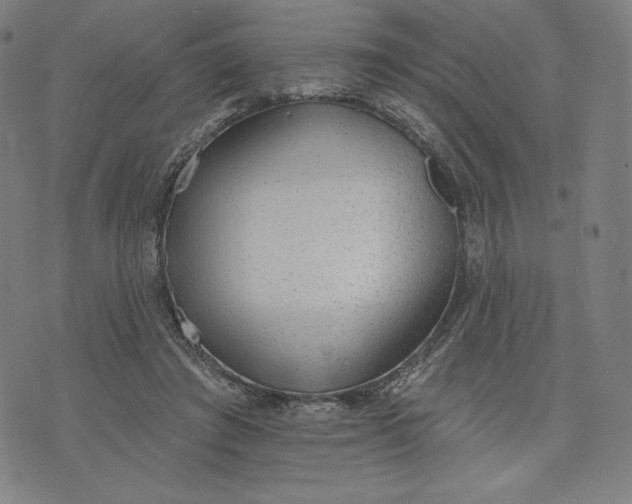 X0000073990401200609111538