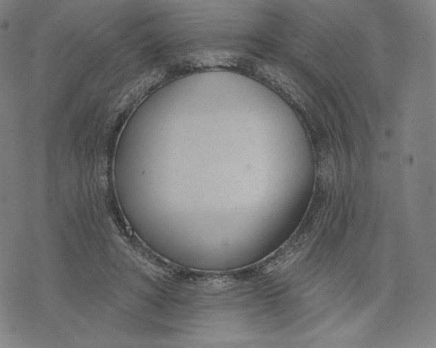 X0000073990402200609111538