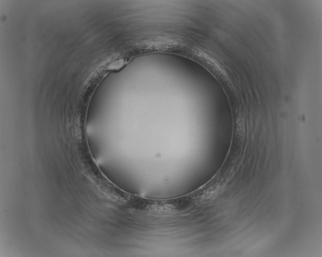 X0000073990403200609111538