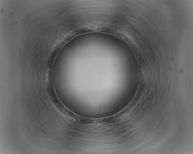 X0000073990404200609111538