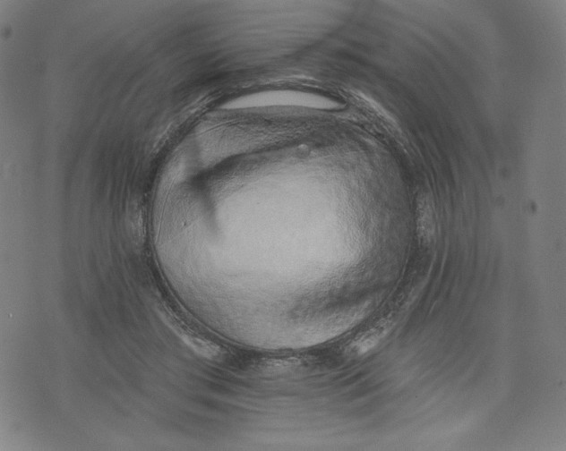 X0000073990405200609111538