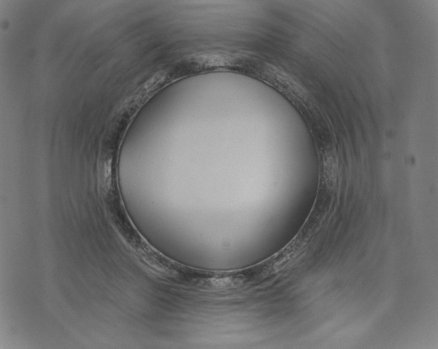 X0000073990406200609111538