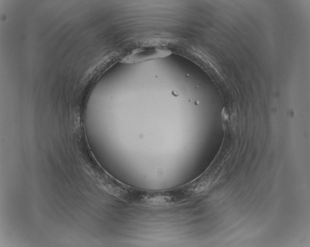 X0000073990407200609111538