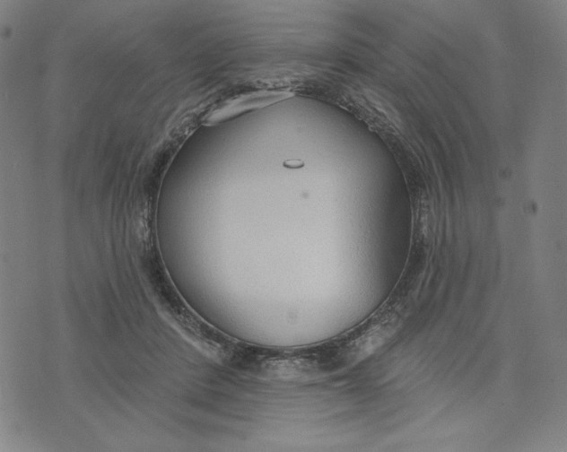 X0000073990408200609111538