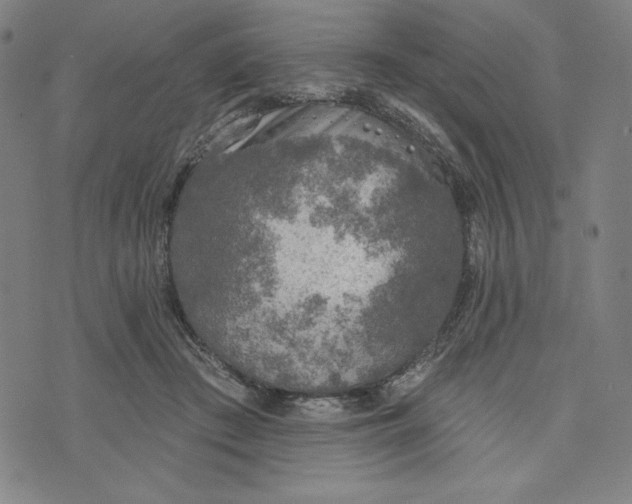 X0000073990409200609111538