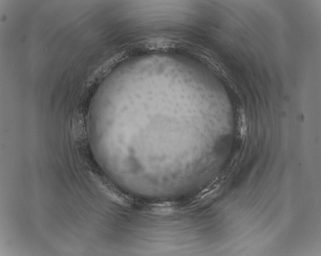 X0000073990411200609111538