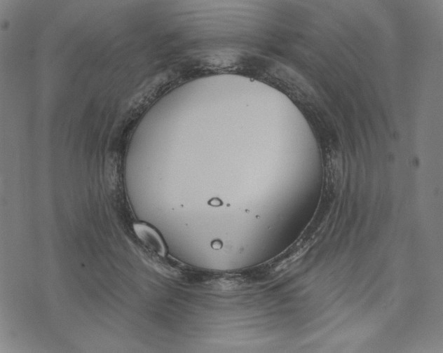 X0000073990412200609111538