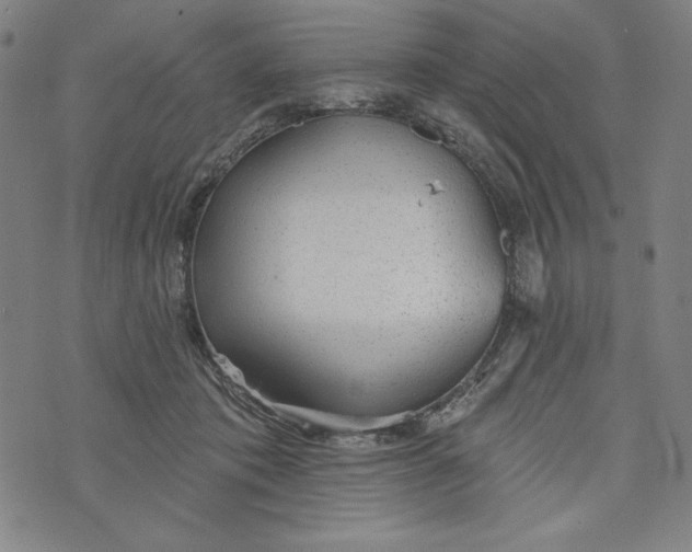 X0000073990413200609111538