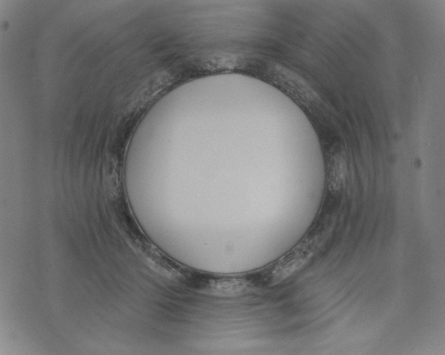 X0000073990414200609111538