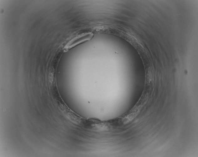 X0000073990417200609111538