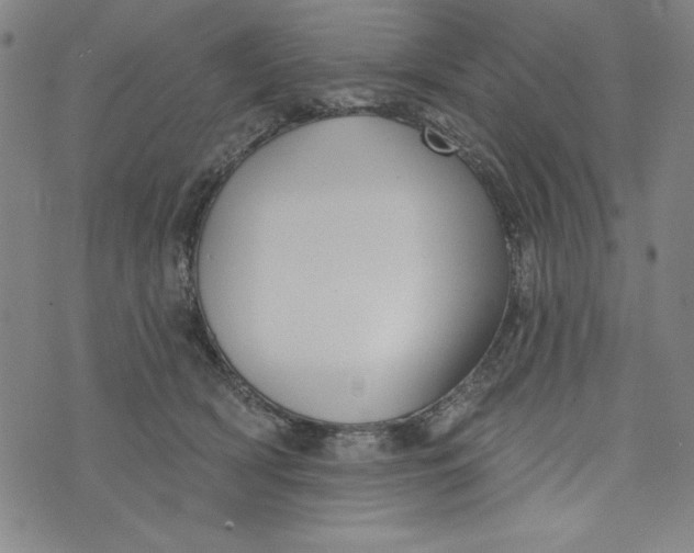 X0000073990418200609111538