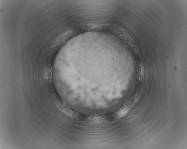 X0000073990419200609111538