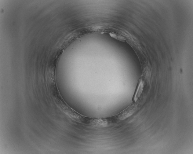 X0000073990421200609111538