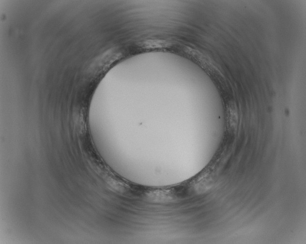 X0000073990422200609111538