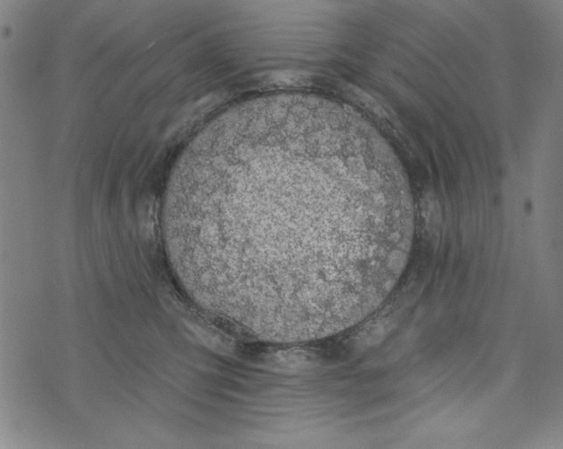 X0000073990423200609111538