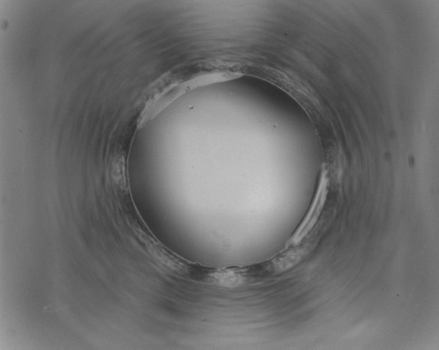 X0000073990425200609111538