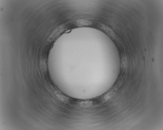 X0000073990426200609111538