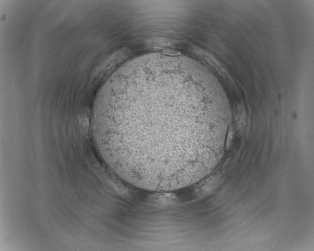 X0000073990427200609111538