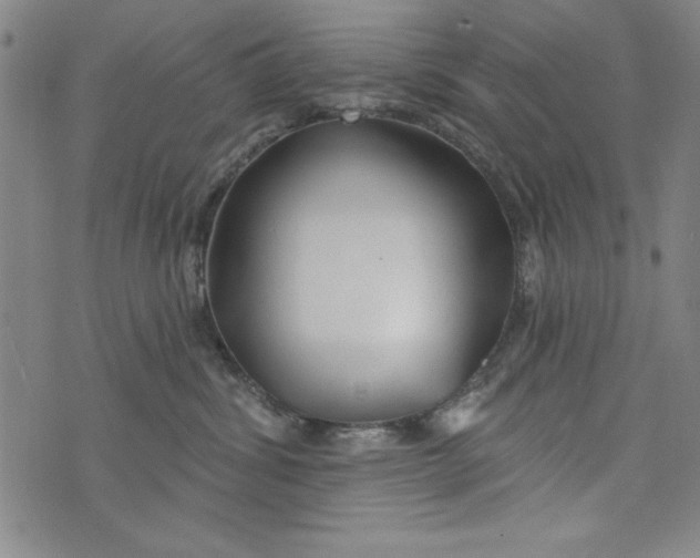 X0000073990428200609111538