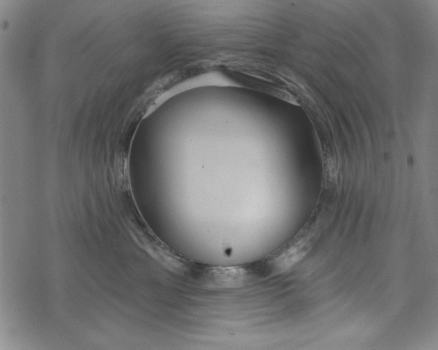 X0000073990429200609111538