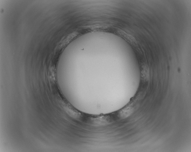 X0000073990430200609111538