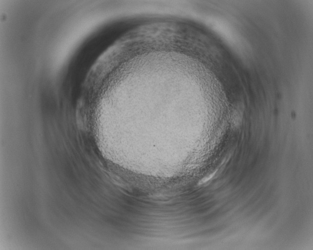 X0000073990431200609111538