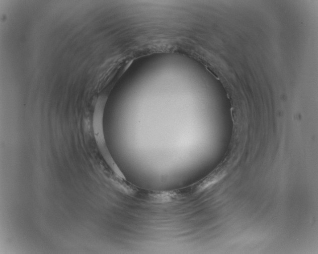 X0000073990432200609111538