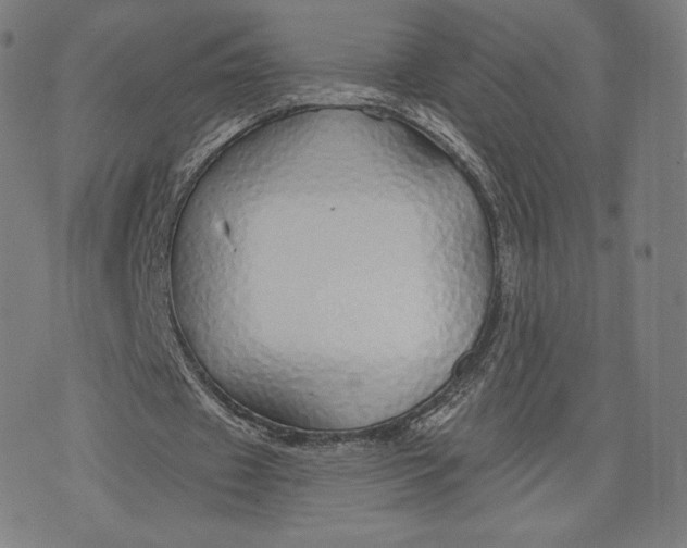 X0000073990433200609111537