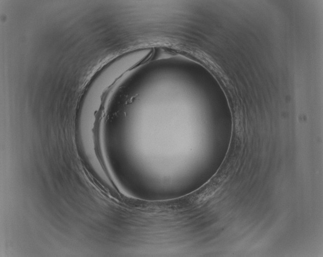 X0000073990434200609111537