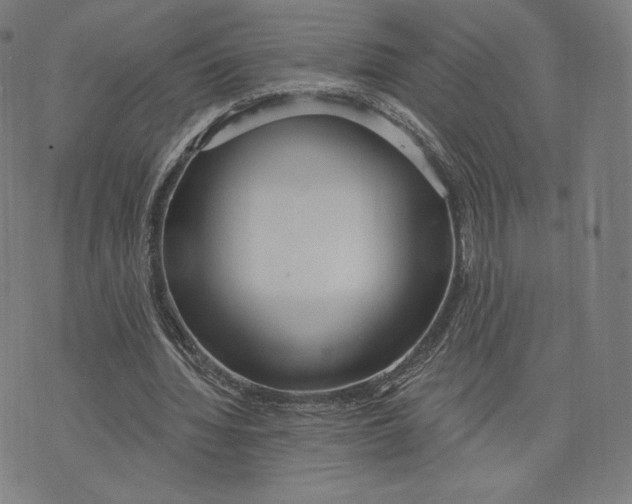 X0000073990436200609111537