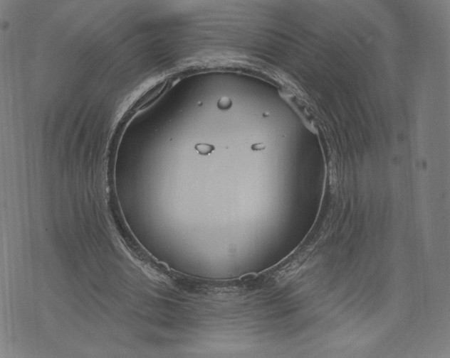 X0000073990438200609111537