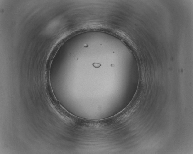 X0000073990439200609111537