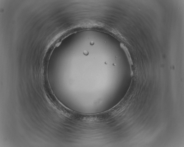 X0000073990440200609111537