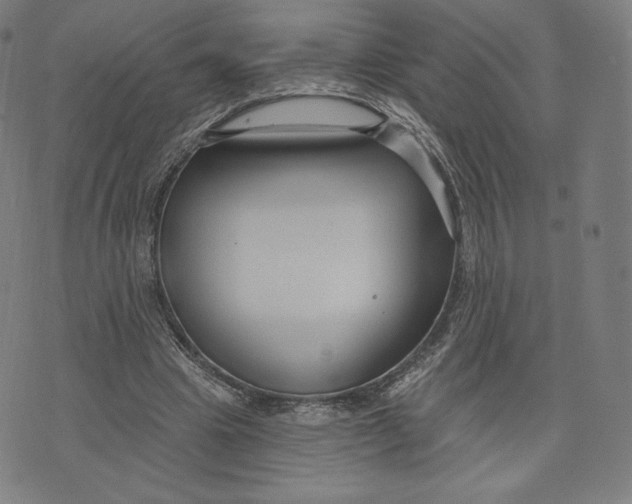 X0000073990441200609111537