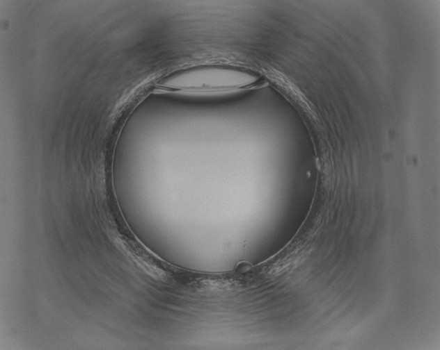 X0000073990442200609111537