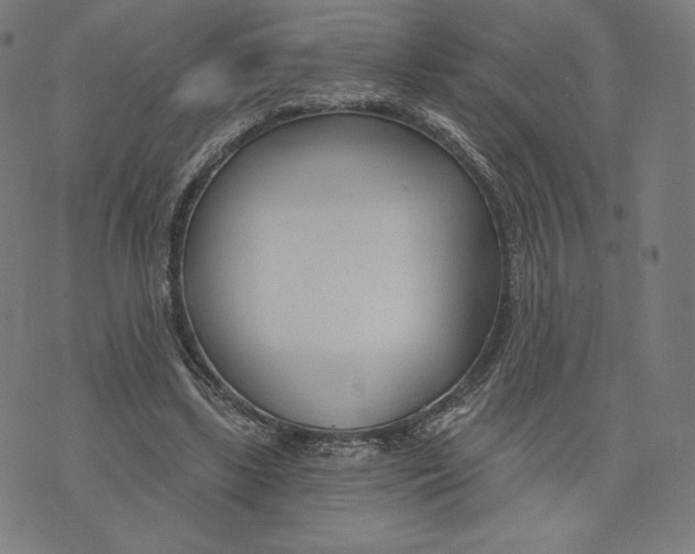 X0000073990443200609111537