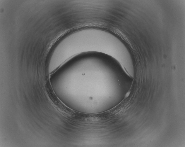 X0000073990444200609111537