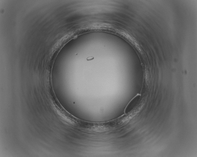 X0000073990445200609111537