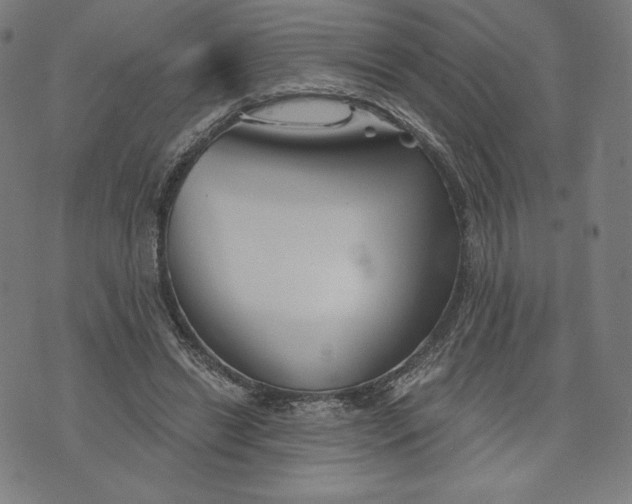 X0000073990446200609111537