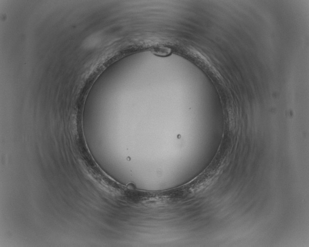 X0000073990447200609111537