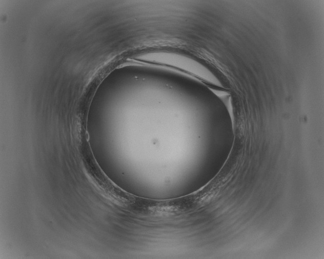 X0000073990448200609111537