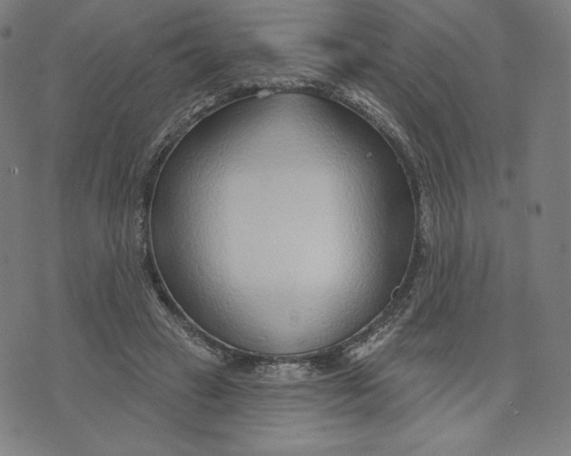 X0000073990449200609111537