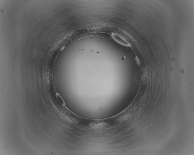 X0000073990452200609111537