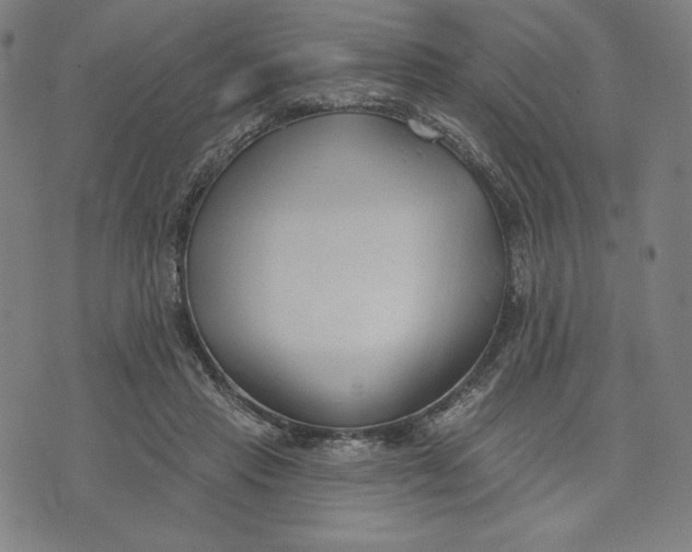 X0000073990453200609111537