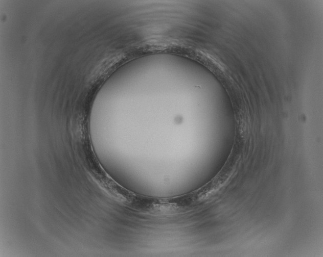 X0000073990455200609111537